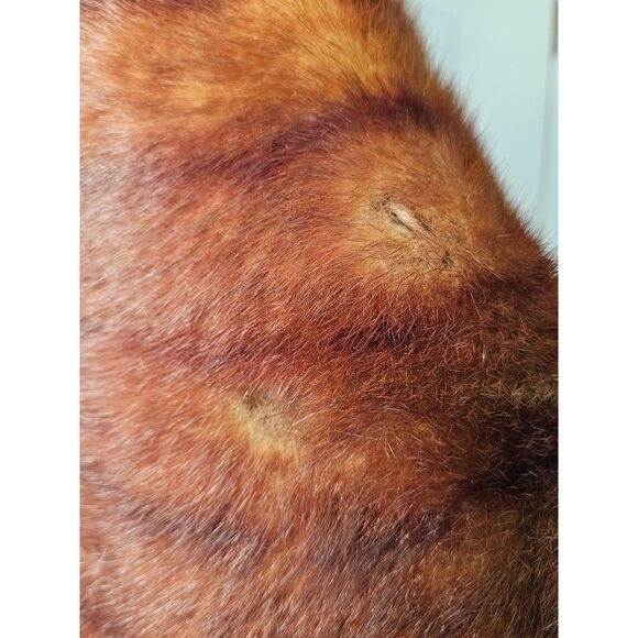 Sidney Frank Furs Vintage Shoulder Wrap Cape Mink Fur One Size - Picture 11 of 13